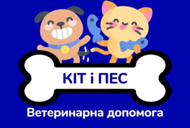Ветеринарна допомога Кіт і Пес