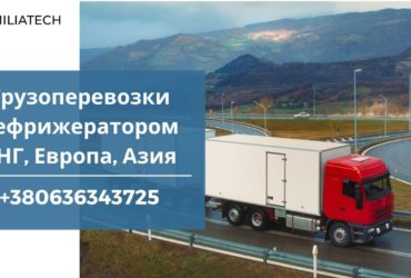Перевозки / Рефрижераторные контейнеры