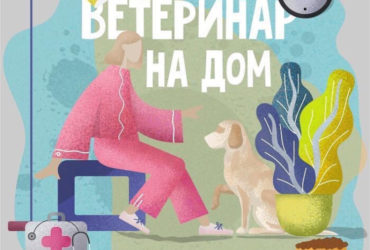 Ветеринар на дом в Харькове