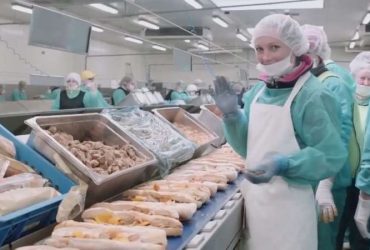 Робота в Словаччині на хлібокомбінаті, зарплата 1200 Євро на місяць