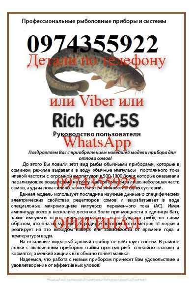 Samus 1000 Rich P 2000