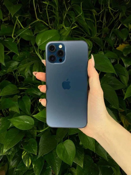 iPhone 12 Pro Max 512GB Pacific Blue – купити оригінальний айфон в ICOOLA