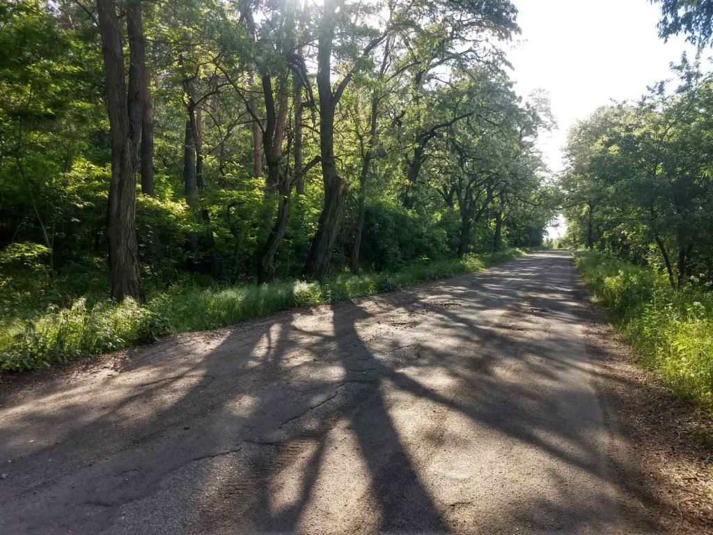 Земельна ділянка під будівництво площею 0,2060 га в с. Хлопків