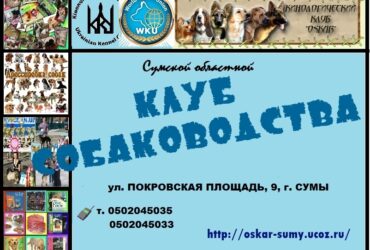 Приглашаем в клуб собаководства